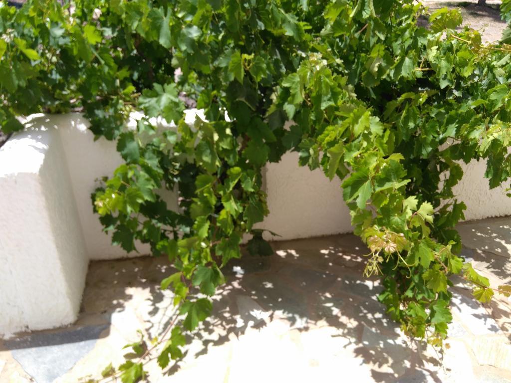 Grandes Apartments Kouremenos Palekastro Luaran gambar